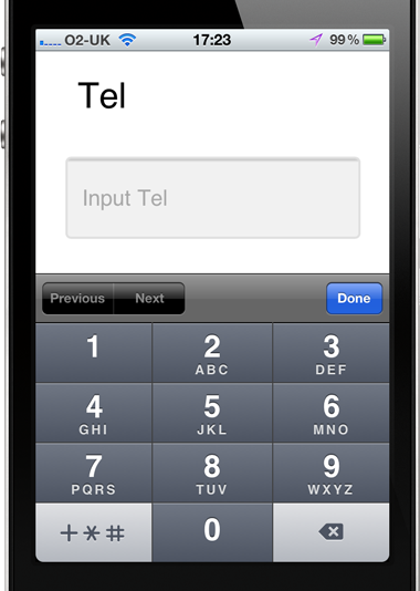 Tel input type